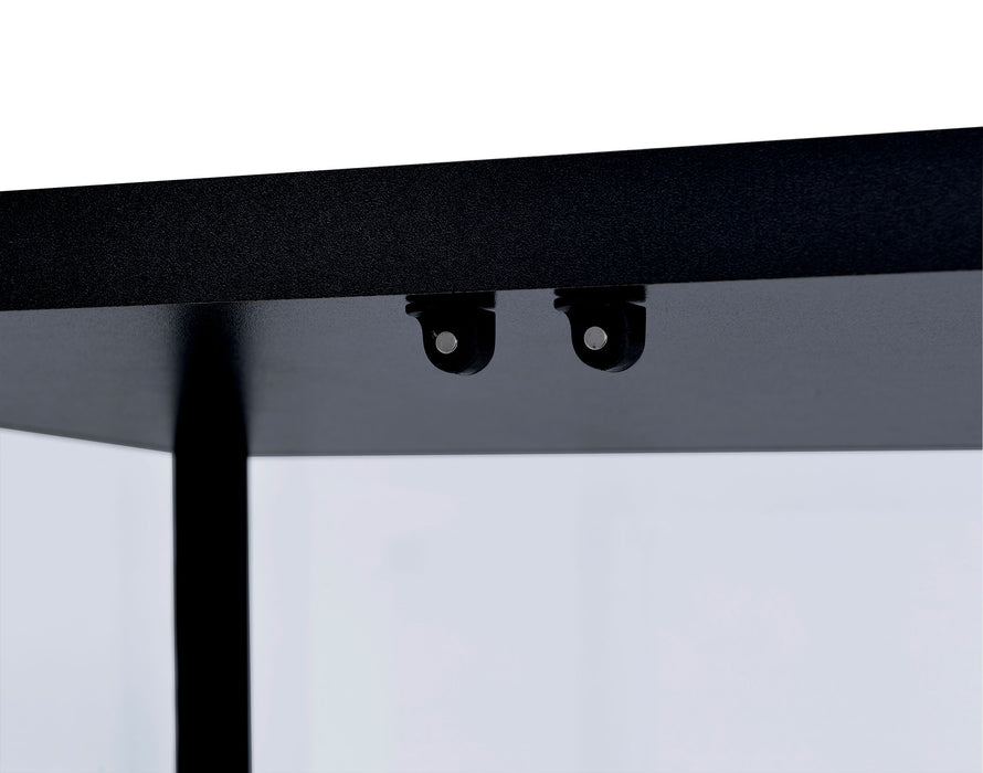 Delphinium 5-shelf Clear Glass Curio Display Cabinet Black